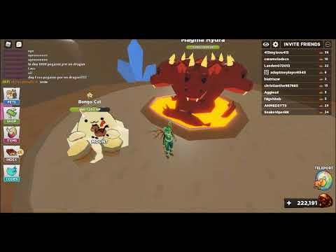 the bongo cat vs. the magma hydra boss (roblox - pet heroes)