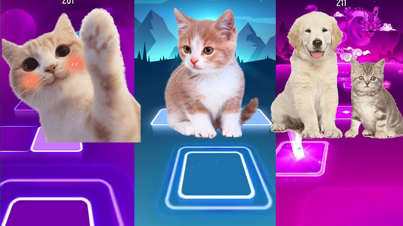ЁЯР▒ CUTE CATS vs CUTE PUPPIE BONGO CAT BLACKPINK MEOW | Tiles Hop EDM Rush Challenge ЁЯРХ background