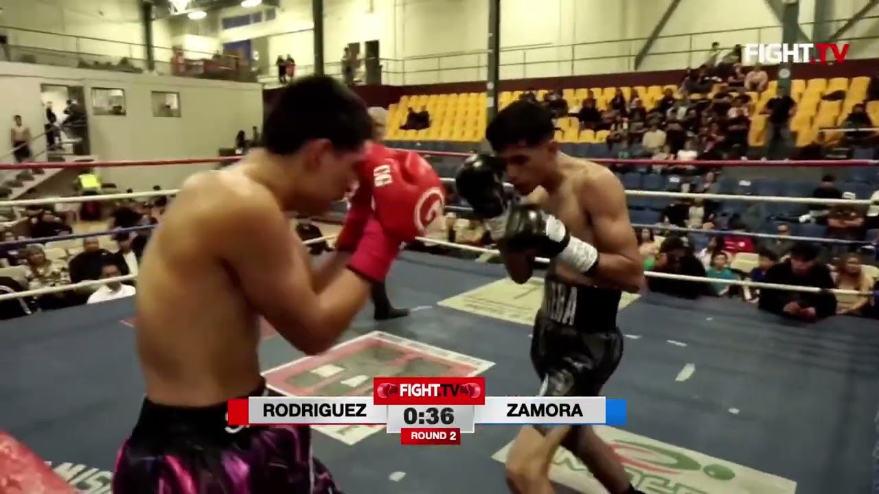 ЁЯТеAnother Quick K.O!ЁЯдв Zamora v.s Rodr├нguez only on www.fight.tv background