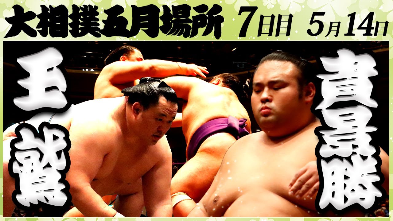 大相撲 玉鷲-貴景勝<令和4年三月場所・7日目>SUMO background