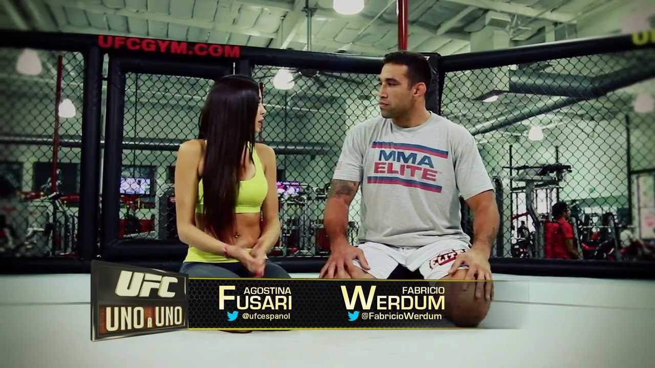 UFC Uno a Uno: Llave al brazo background