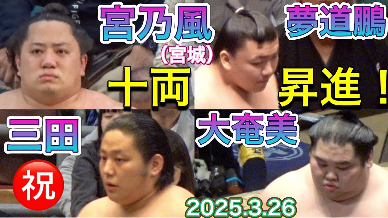 ㊗️十両昇進おめでとう✨宮城 改め 宮乃風関、夢道鵬関、三田関、大奄美関 2025/3/26 promotion to juryo