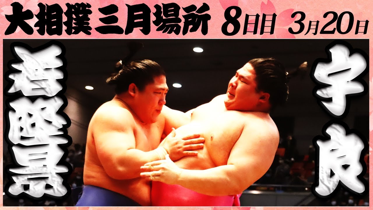 大相撲 若隆景ー宇良「攻め続けろ‼」<令和4年三月場所・八日目>SUMO