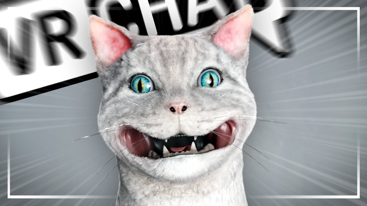 LAUGHING CAT 🫵 - VRCHAT Funny Moments