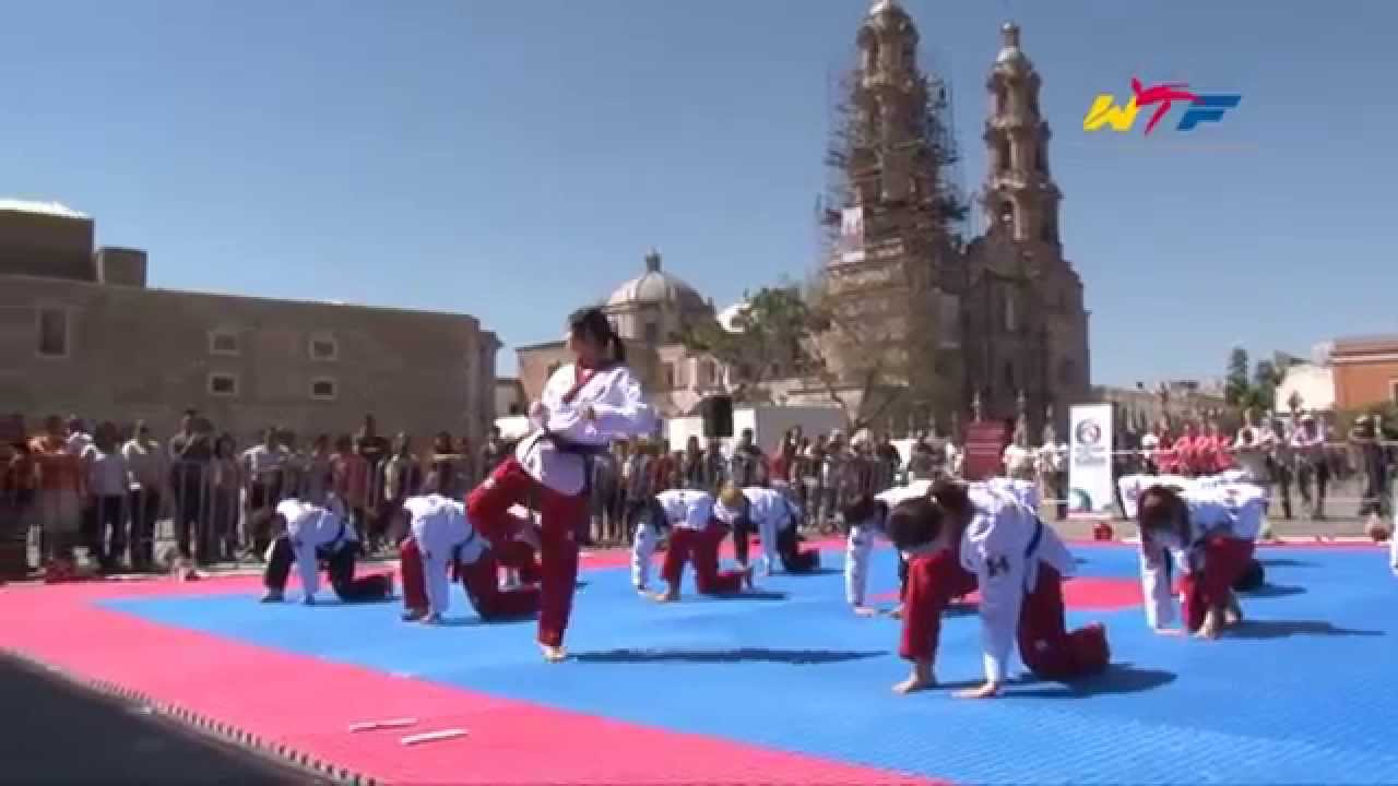 WTF TAEKWONDO DEMONSTRATION | 9th WTF World Taekwondo Poomsae Championships 2014 background