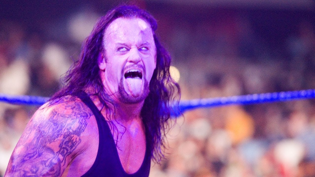WWF Wrestling - DSF - 1996 (deutsch) #8 background