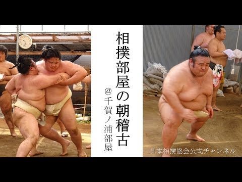 千賀ノ浦部屋の朝稽古
