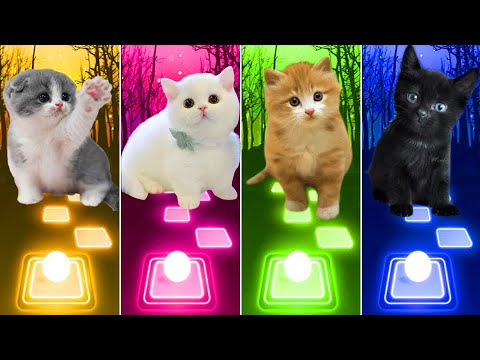 CUTE CATS - Baby Calm Down - Gomez & Rema ๐ Savage Love ๐ BTS Fake Love ๐ Imagine Dragons Tiles Hop