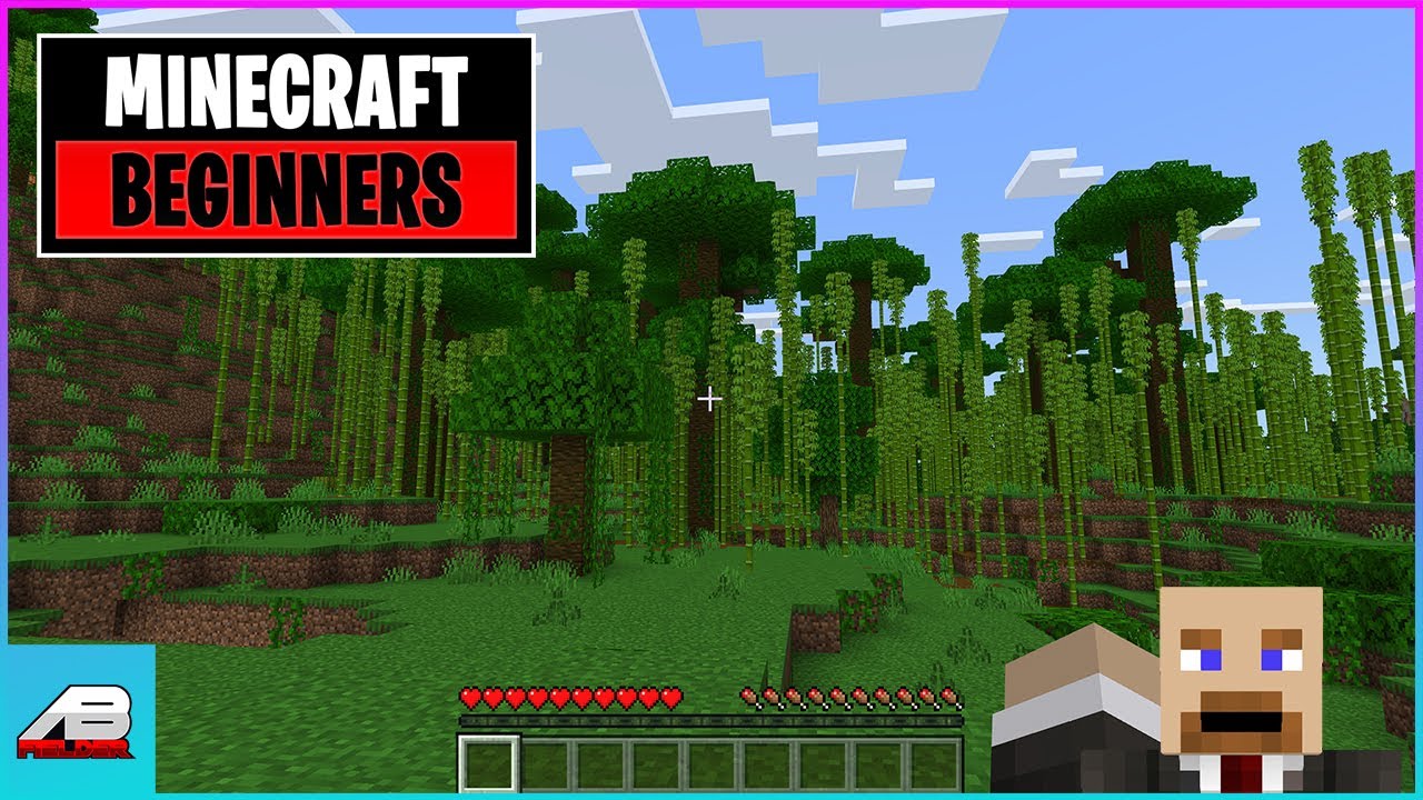 Minecraft Beginners Guide for Parents and Children Nintendo Switch Playstation xBox Bedrock background