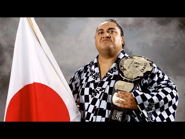 WWF Wrestling - RTL2 - 1993 (deutsch) - #28 background