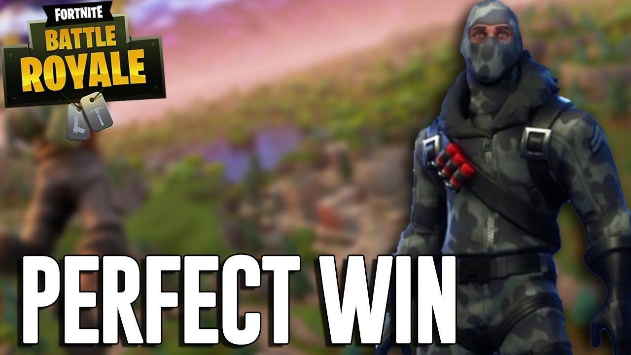 Perfect Duos Win - Fortnite Battle Royale Gameplay - Ninja background