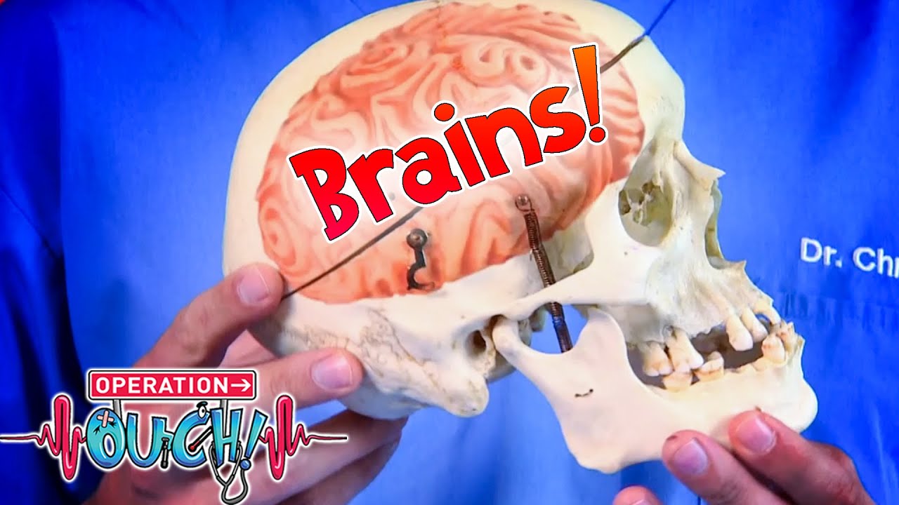Science at Home #Stayhome #Homeschooling | Operation Ouch