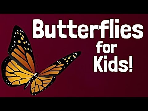 Butterflies & Beyond: Explore Fascinating Creatures 🦋✨