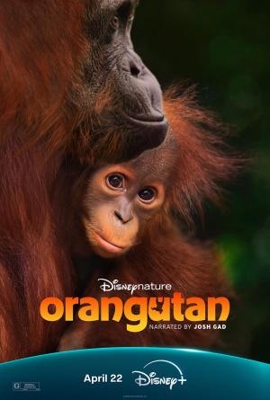 Orangutan [Indonesian]