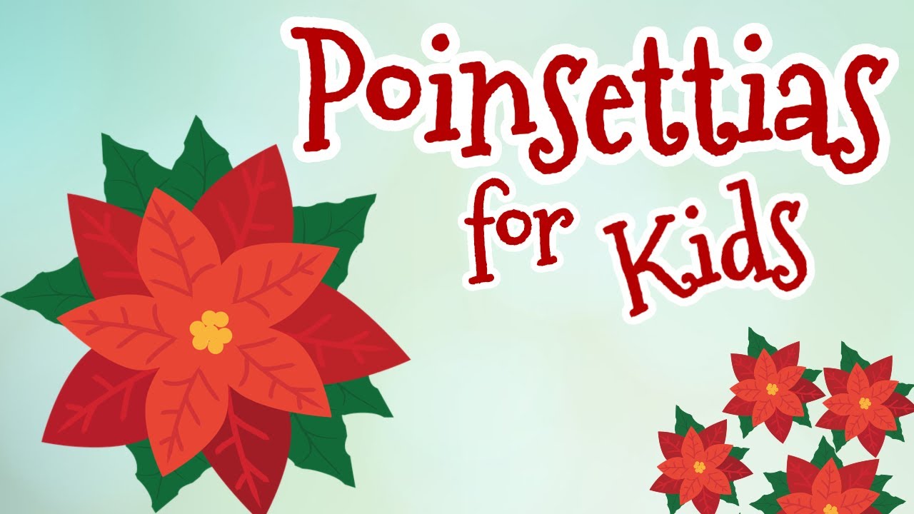 Learn all about poinsettias and more