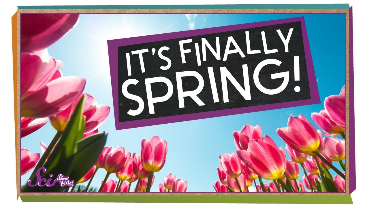 Spring is Here! | SciShow Kids