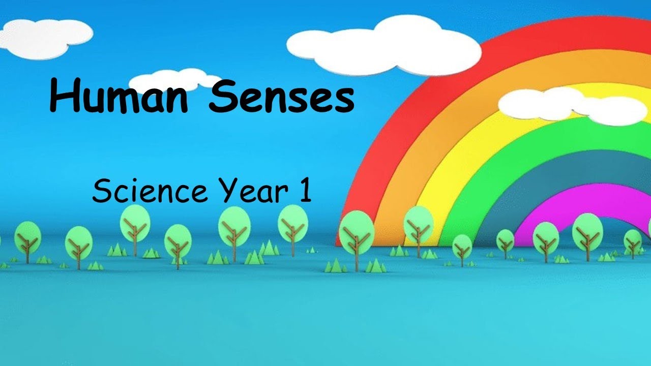 Human Senses - Science Year 1 background