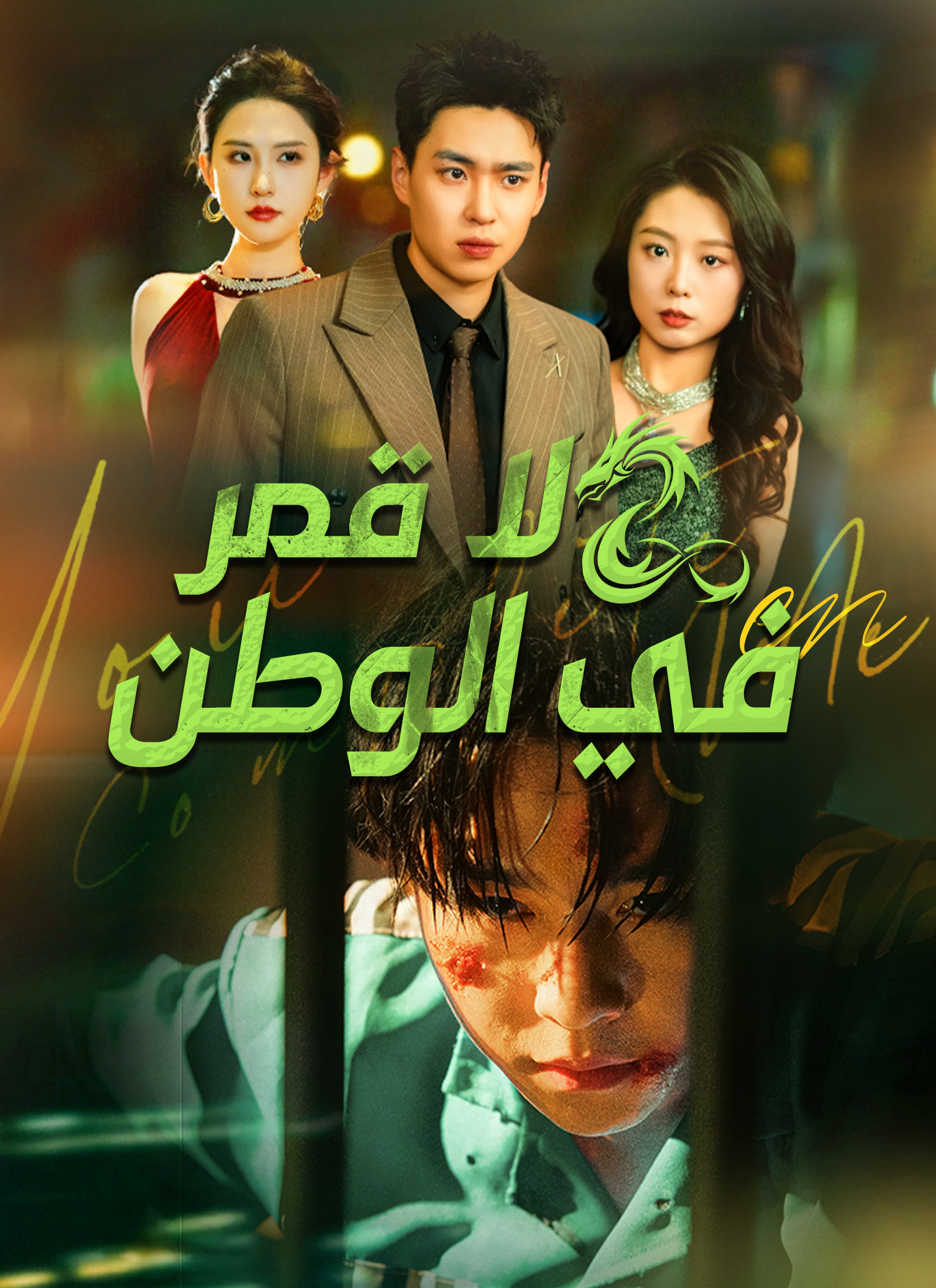 لا قمر في الوطن [مدبلج] poster