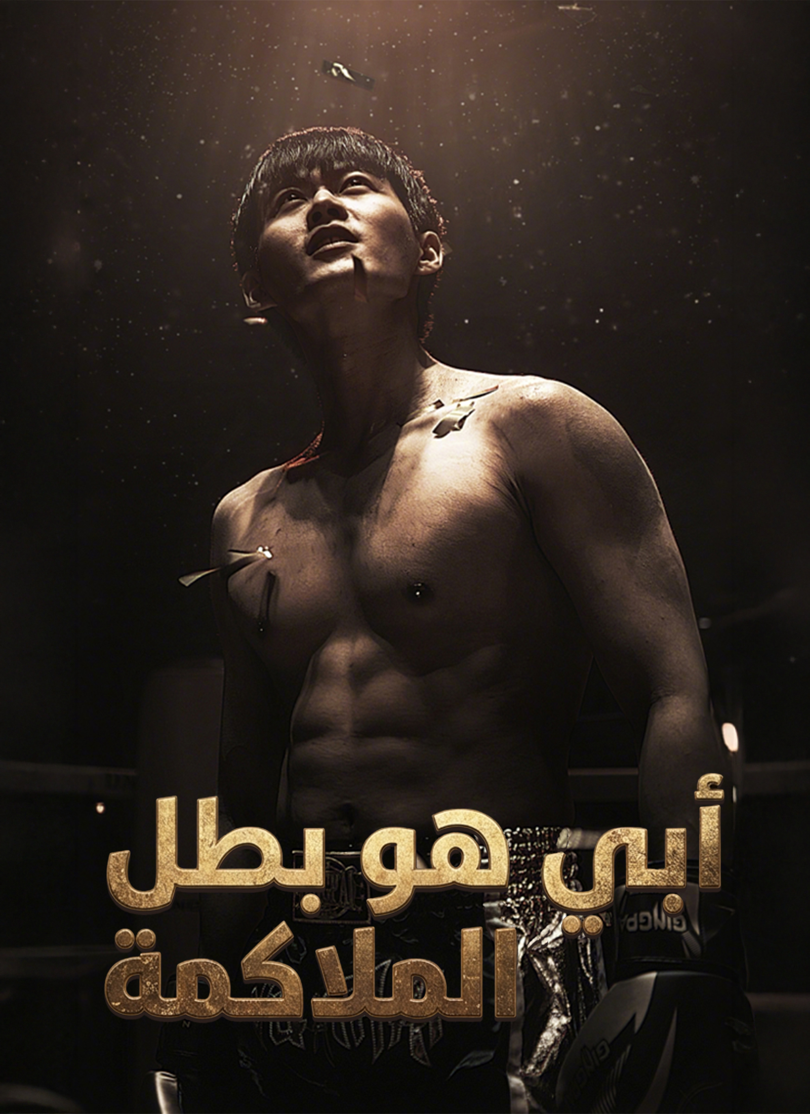 أبي هو بطل الملاكمة poster