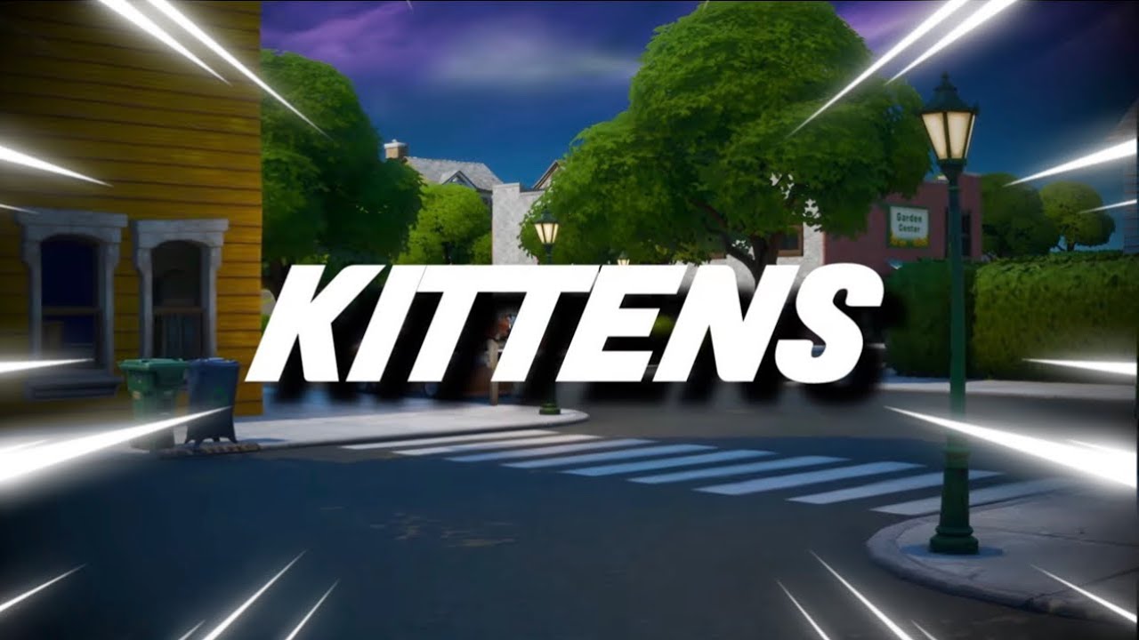 OG Fortnite Montage - "KITTENS" ( Che )