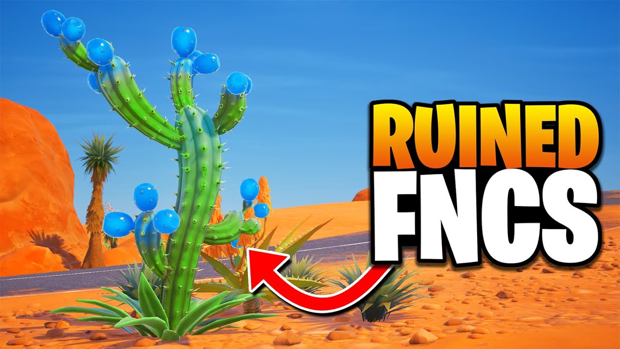 How A Cactus “Ruined” FNCS background