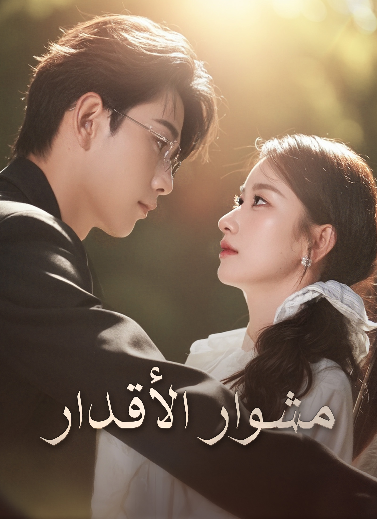 مشوار الأقدار poster