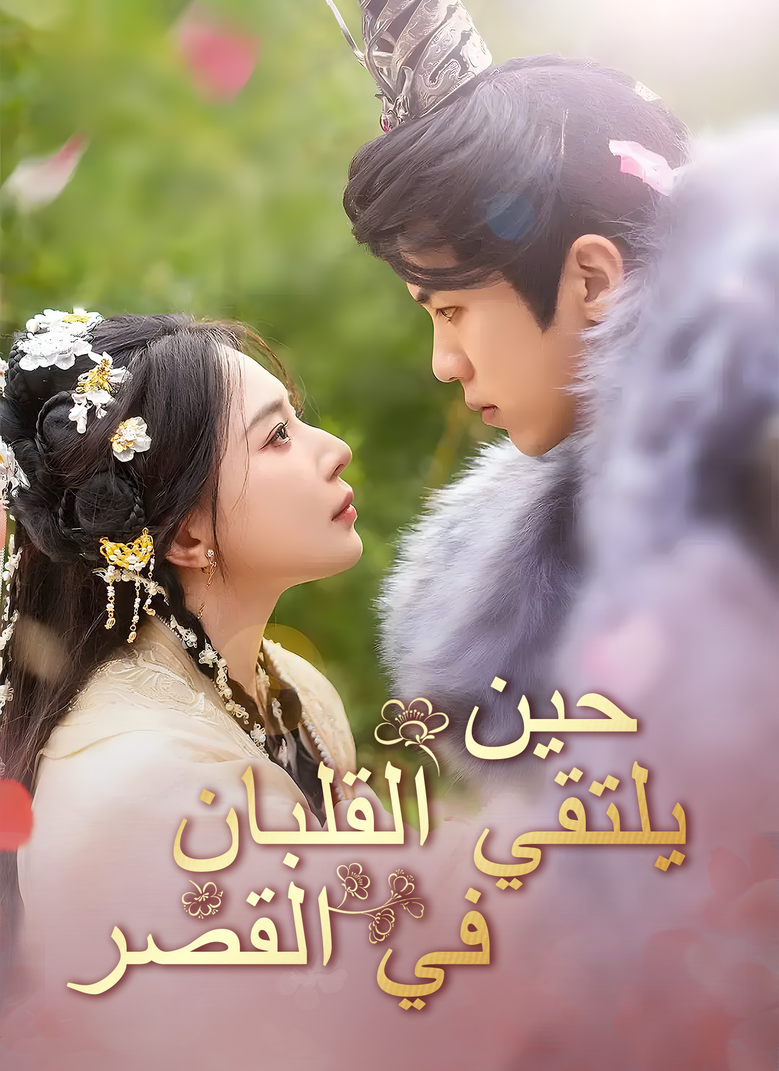 حين يلتقي القلبان في القصر poster
