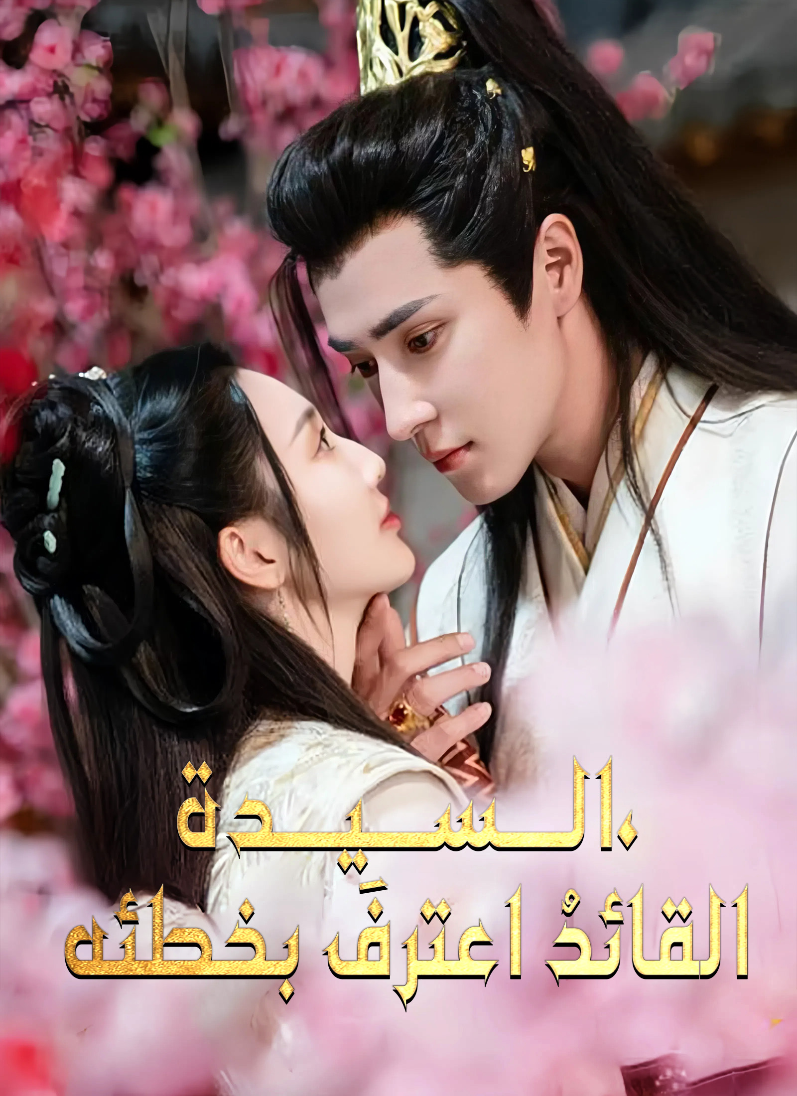 السيدة، القائد اعترف بخطئه poster