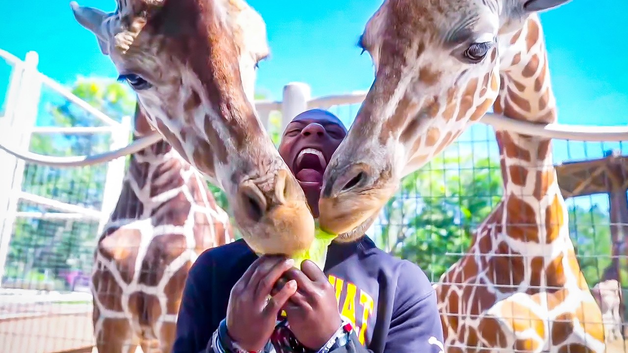 iShowSpeed Visits American Zoo!