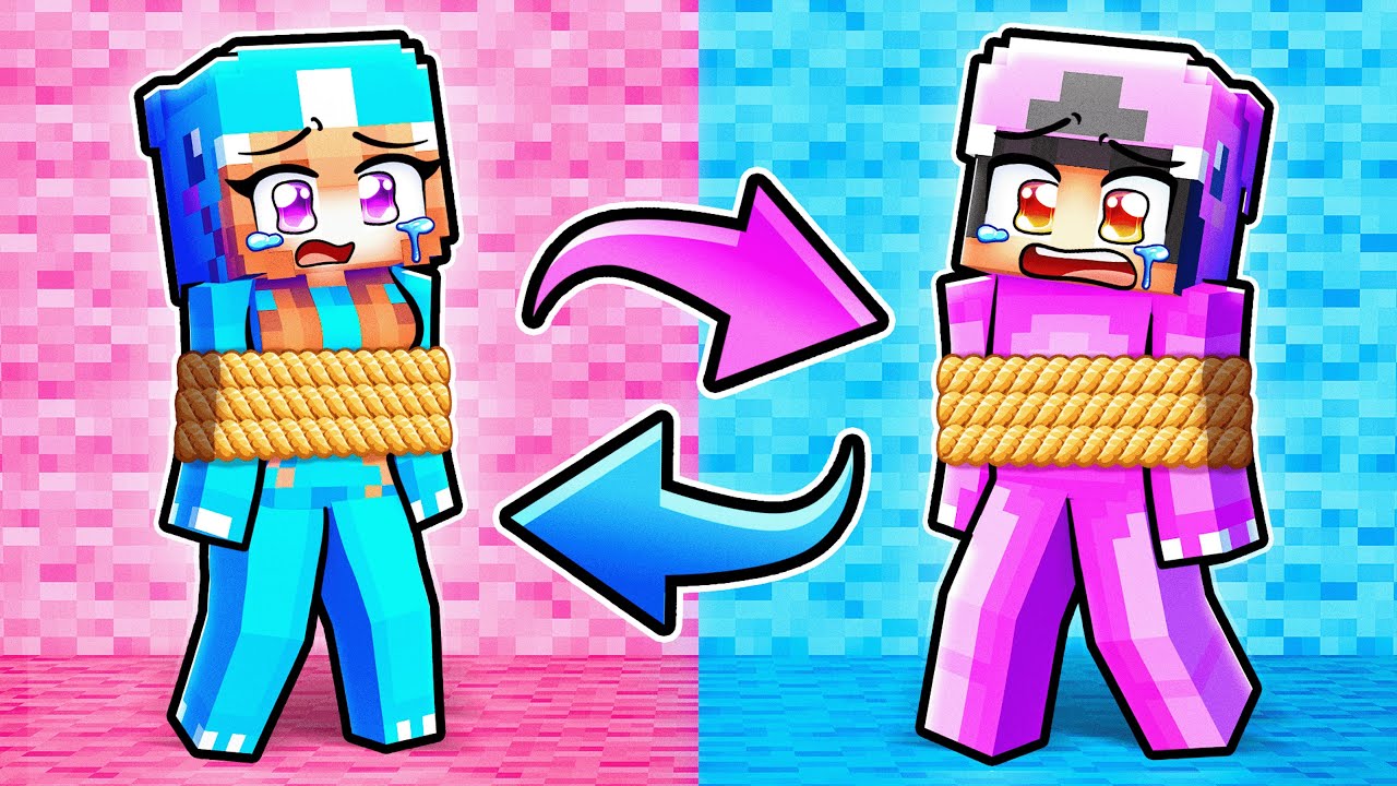 We SWAPPED COLORS in Minecraft!