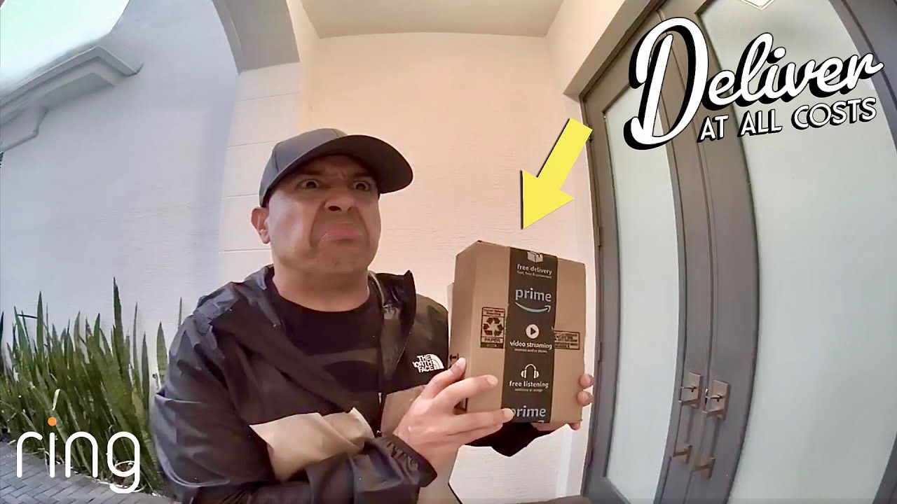 I NEED TO DELIVER THIS PACKAGE.... AT ALL COSTS!!!