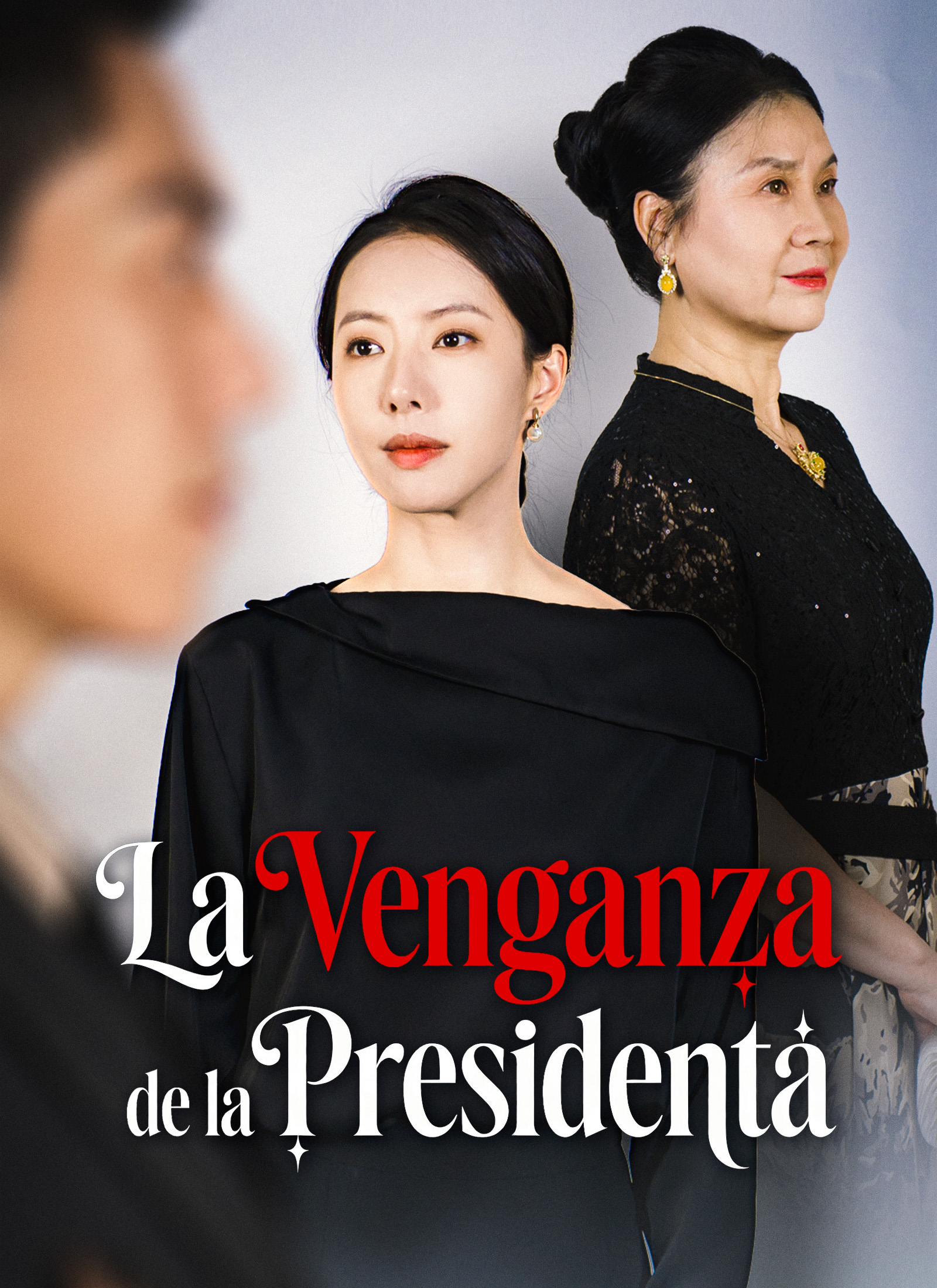 La Venganza de la Presidenta poster