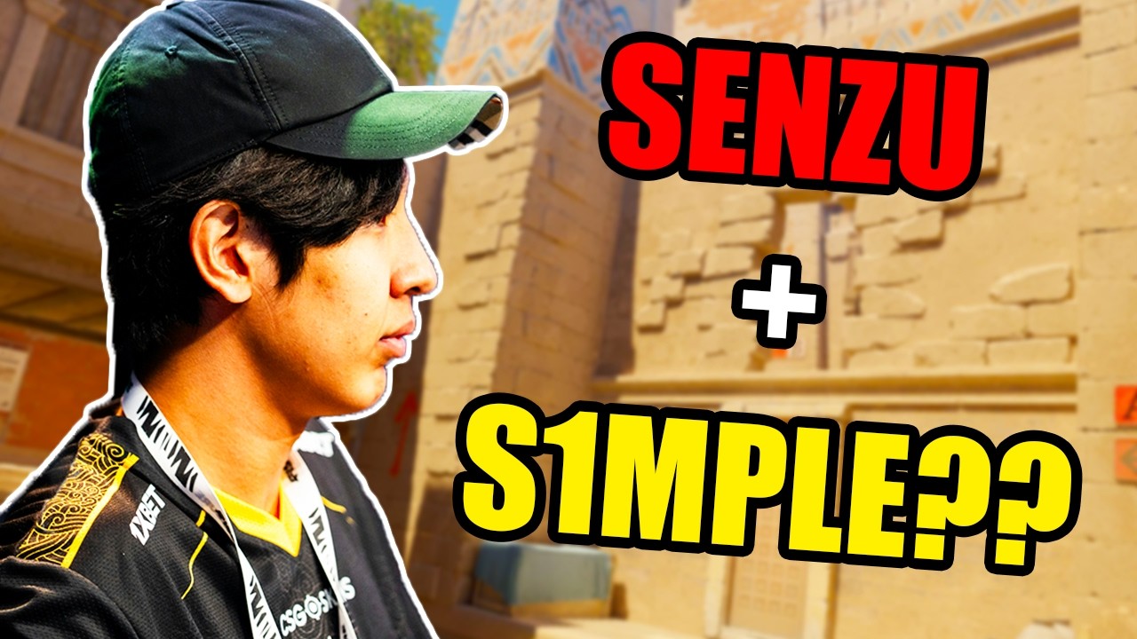 WHY Would Senzu Go To BC.Game??? background