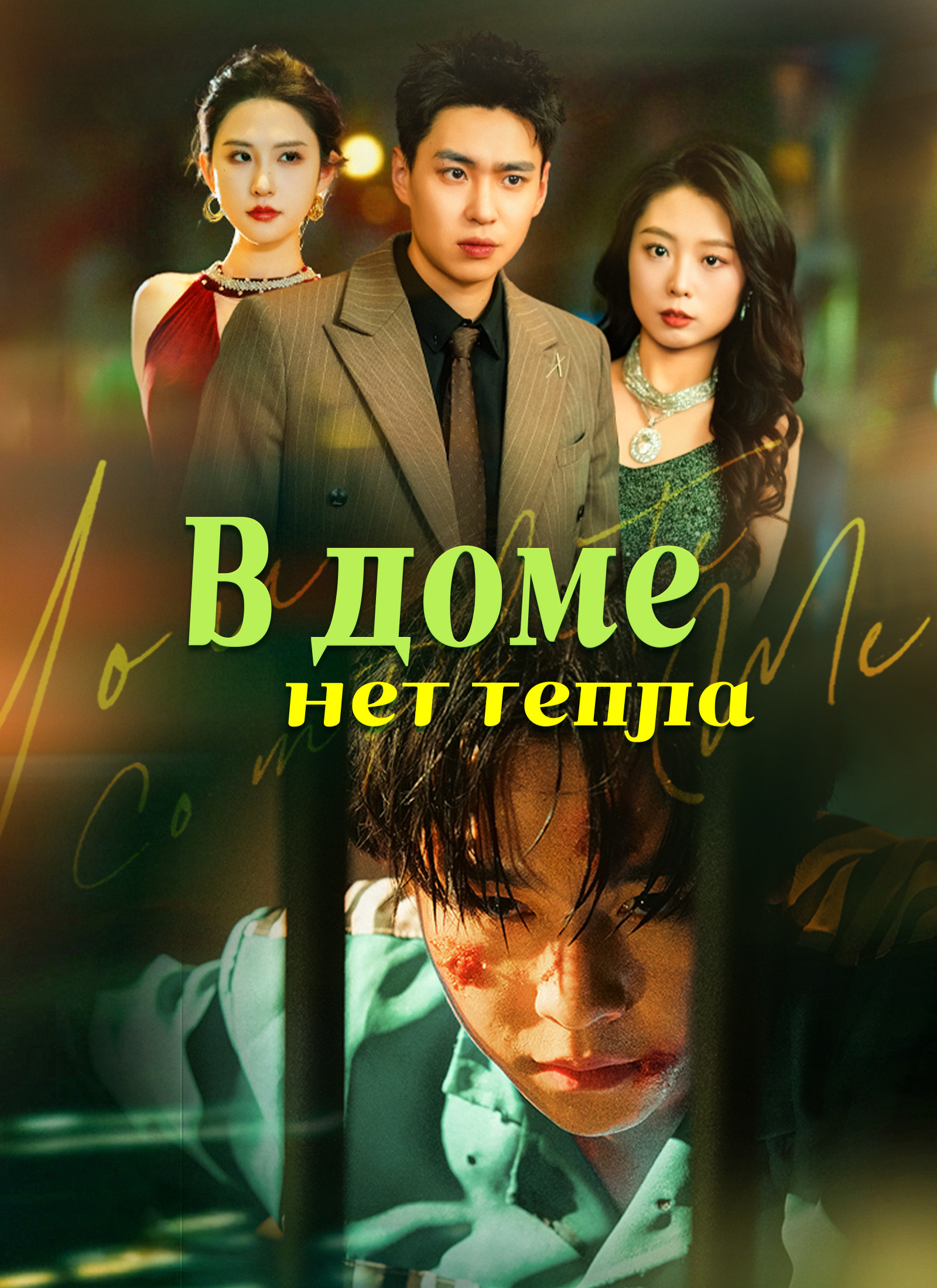 В доме нет тепла poster