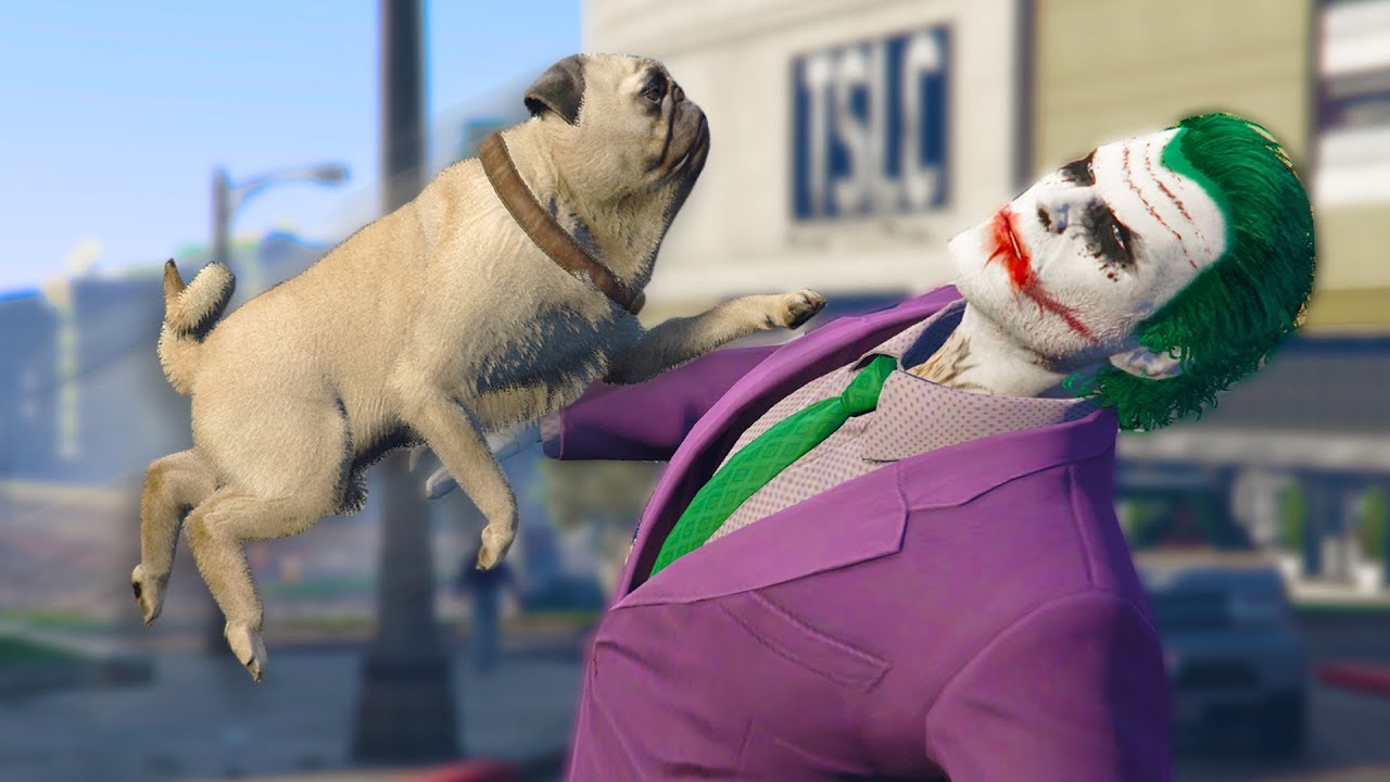 Playing As ANIMALS ONLINE! | GTA 5 THUG LIFE #272