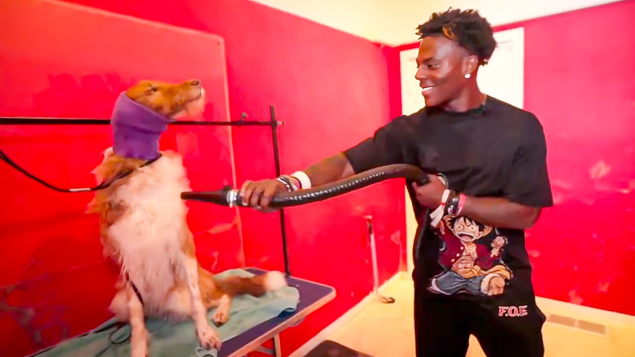 iShowSpeed Tries Dog Grooming for the First Time!
