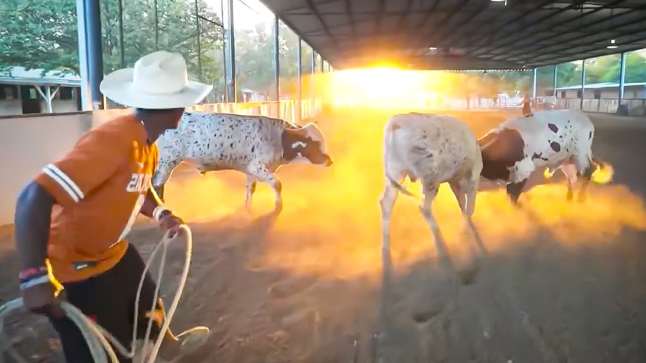 iShowSpeed Spends A Day At The Ranch! backdrop
