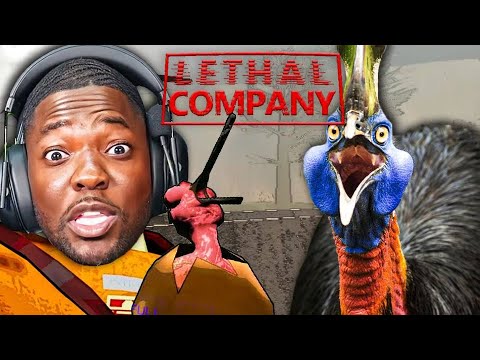 THEY PUT A CASSOWARY IN LETHAL COMPANY?! background