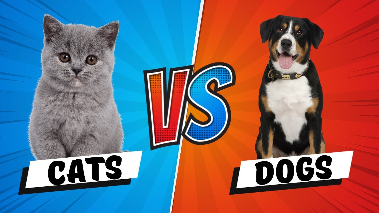 Who Wins? Funny Cats vs. Dogs Joke Battle! #cat #dog #comedy