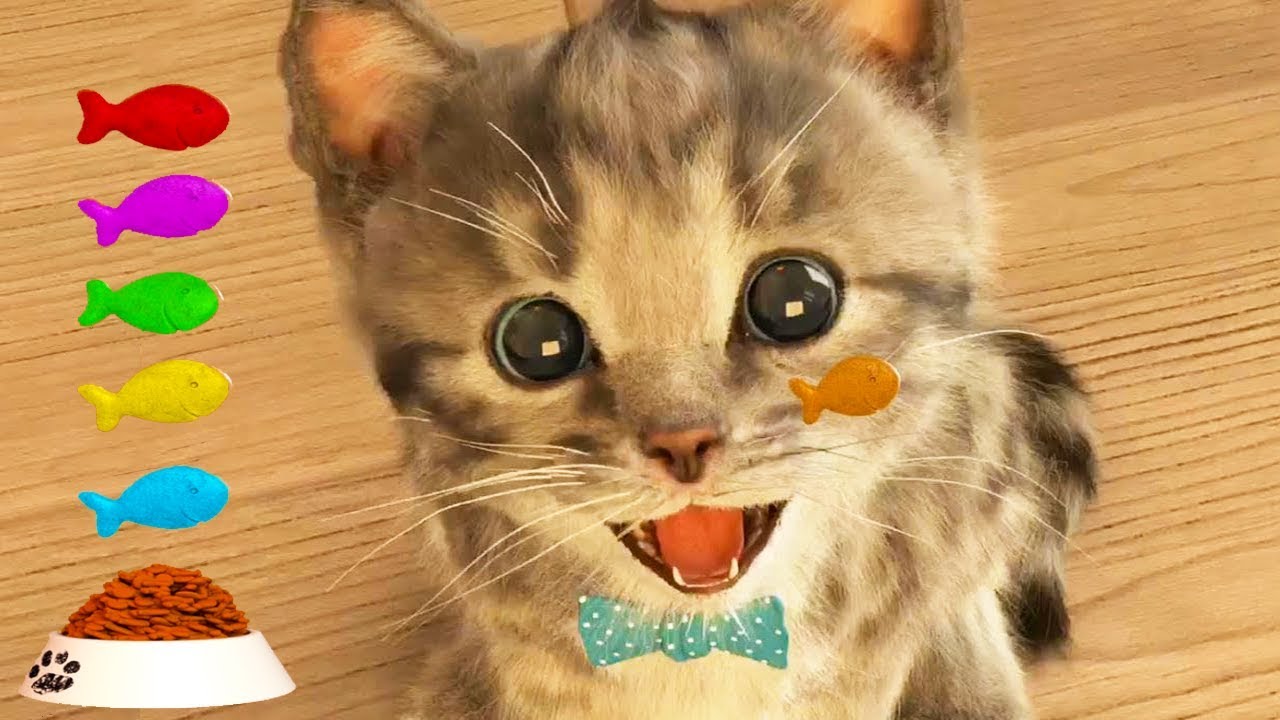 Play Fun Pet Care Kids Game -Little Kitten My Favorite Cat - Fun Cute Kitten For Children & Toddlers backdrop