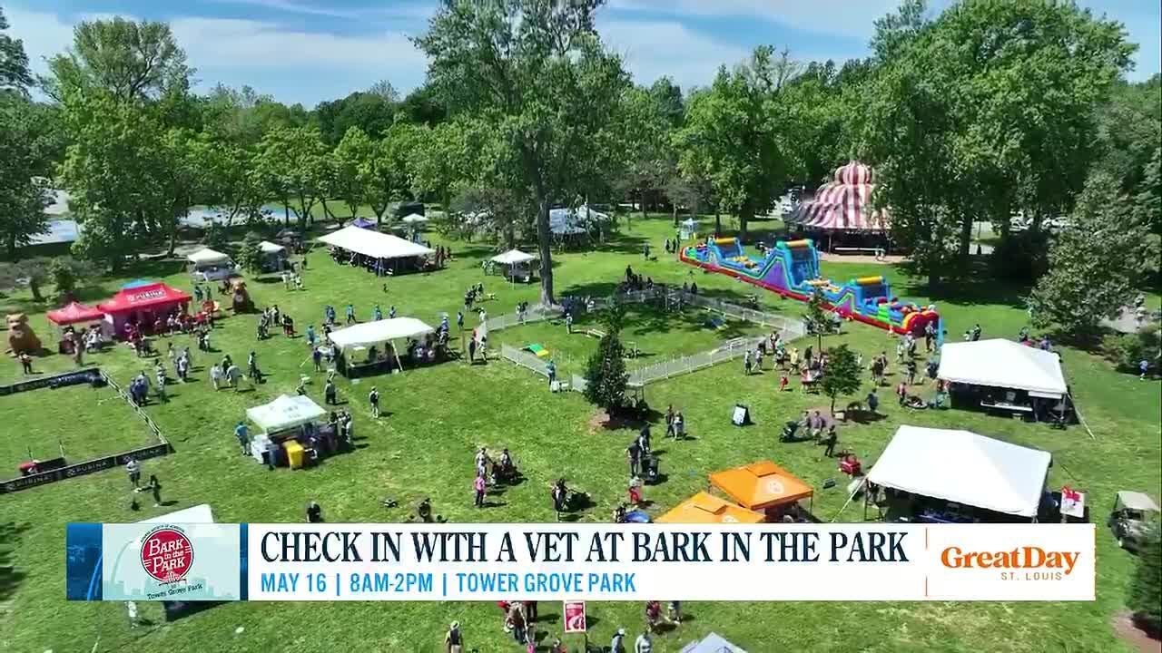 Check-In with a Vet at Bark in the Park