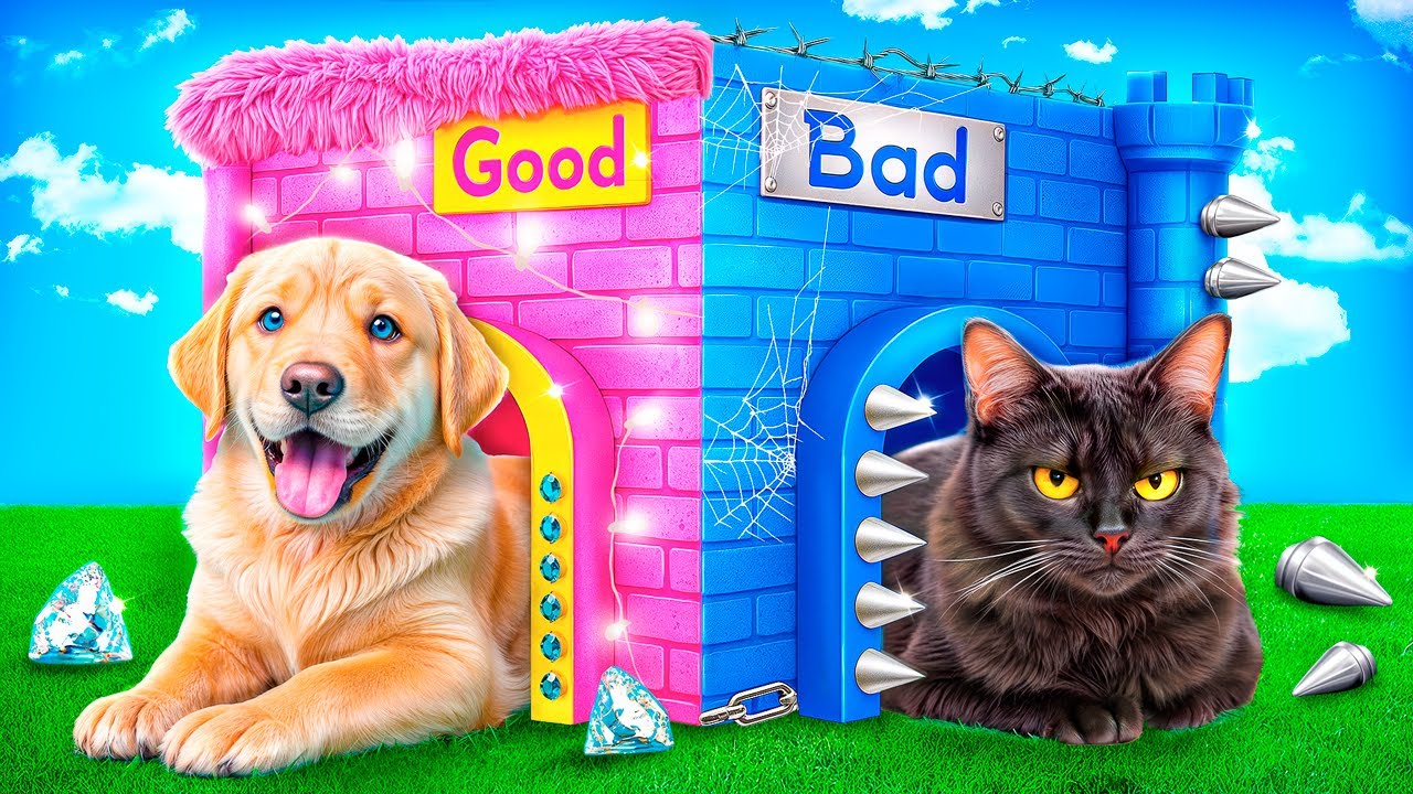 Good Dog vs Bad Cat! How to Make Pet Houses!