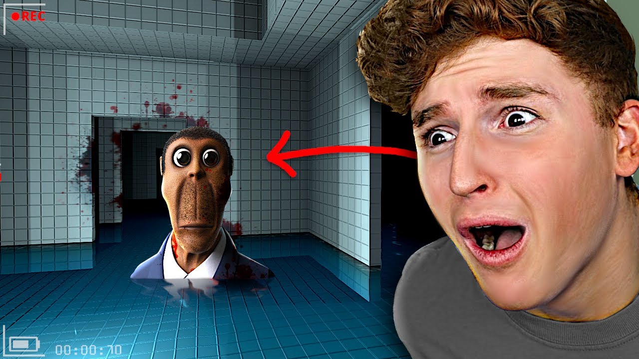 Do NOT Trust OBUNGA.. (FULL GAME) background
