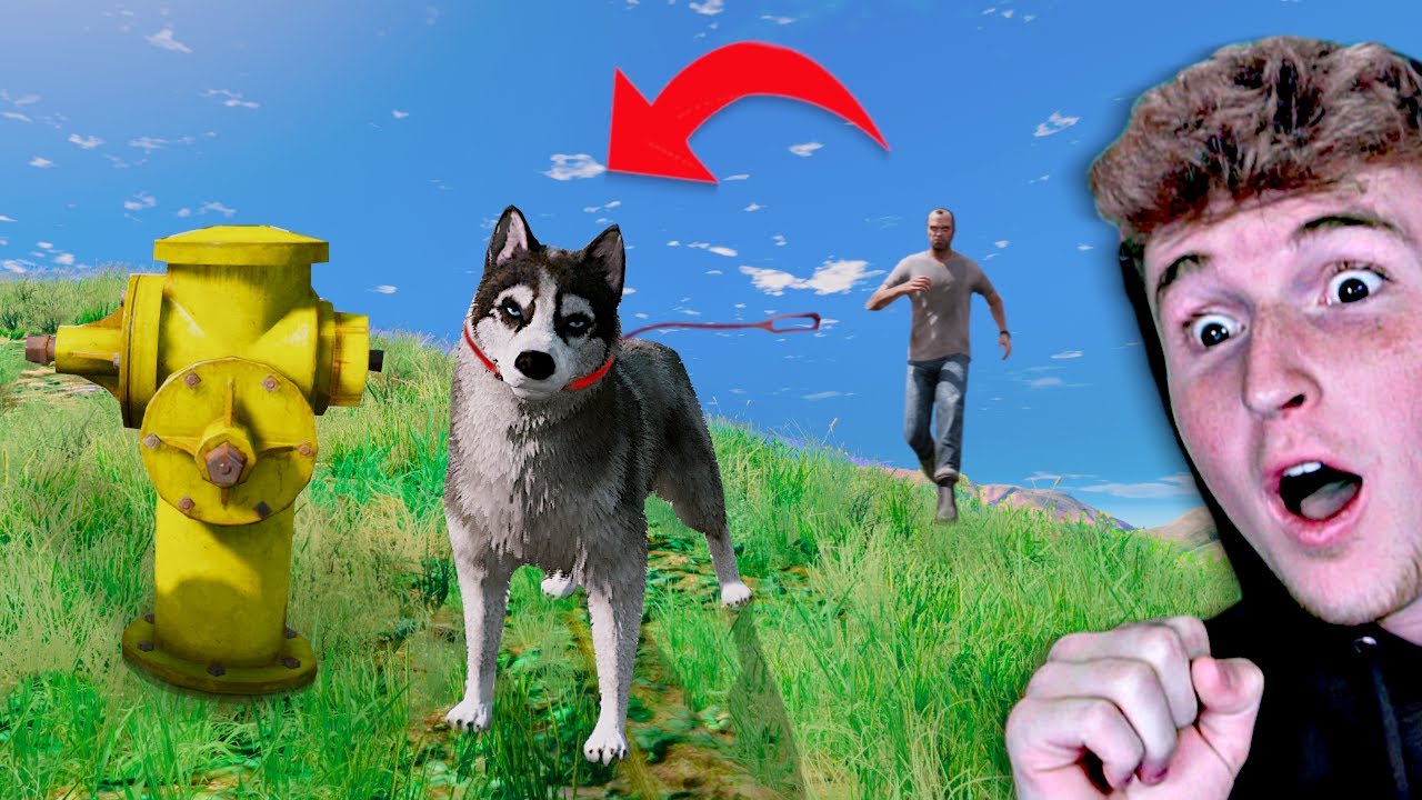 Playing GTA 5 As An ANIMAL.. backdrop