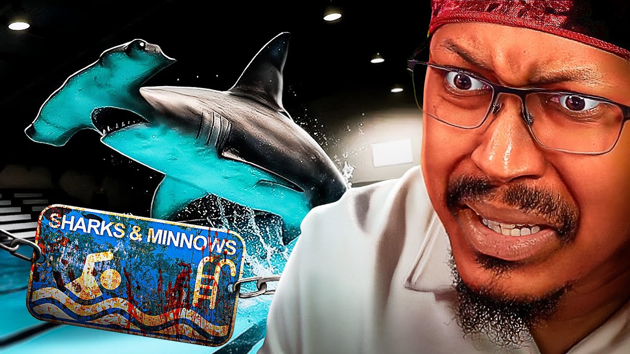 MY BLACK AHH WOULD NEVER - Shark & Minnows