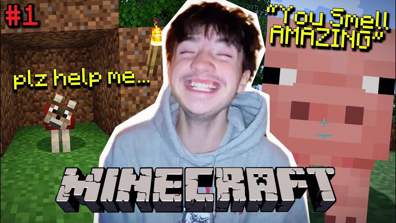 The Most HILARIOUS Minecraft Gameplay of 2025 background