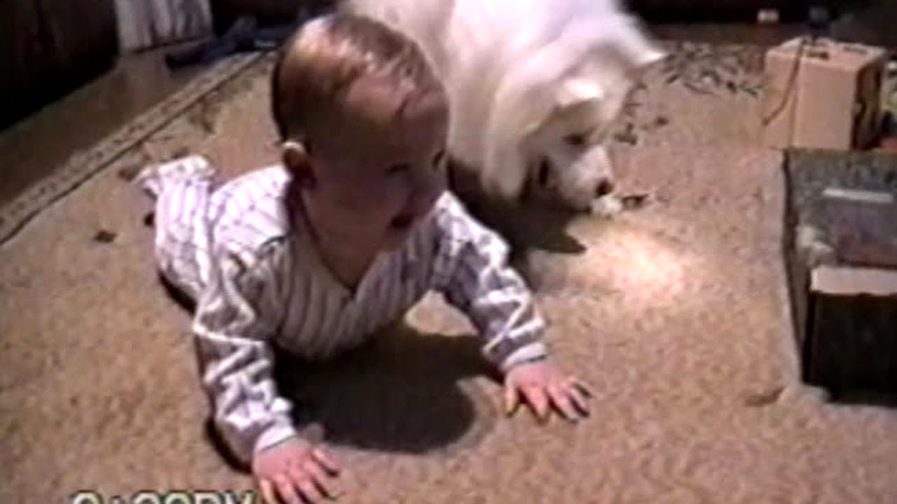 Life's Funniest Moments - Hilarious Pets and Kids Caught on Camera!