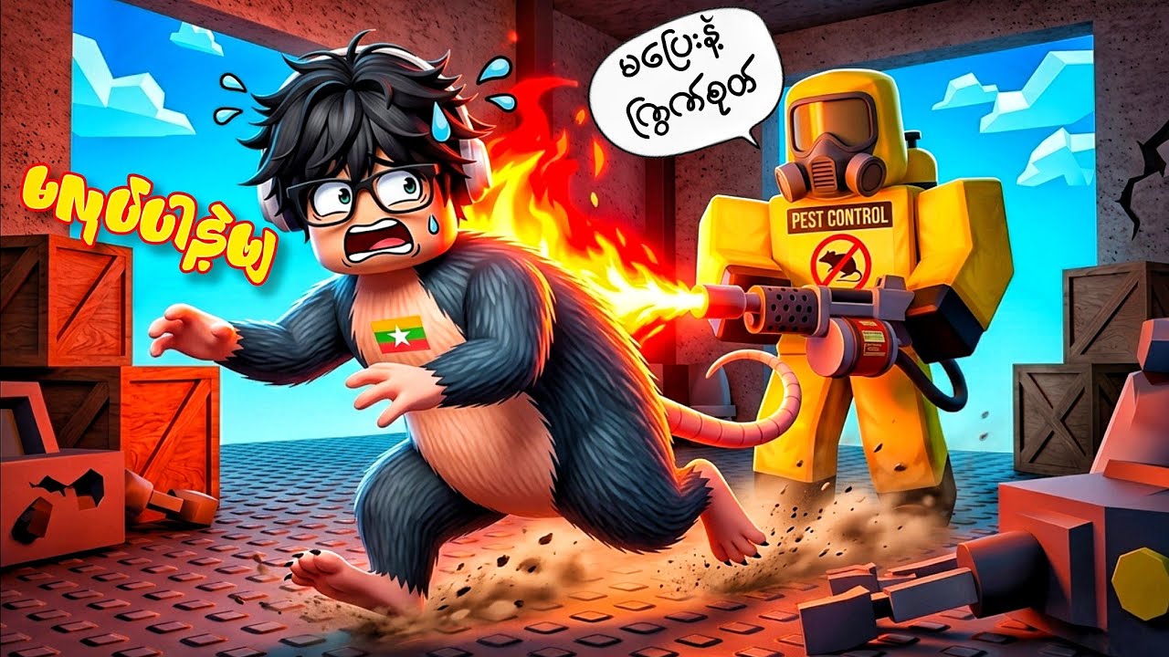 ကြွက်ခိုင်ဓို နဲ့ နှိမ်နှင်းရေးသမား 🐀🚫 Rats Vs Exterminator - ROBLOX