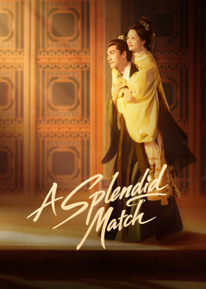 A Splendid Match - 123Movies