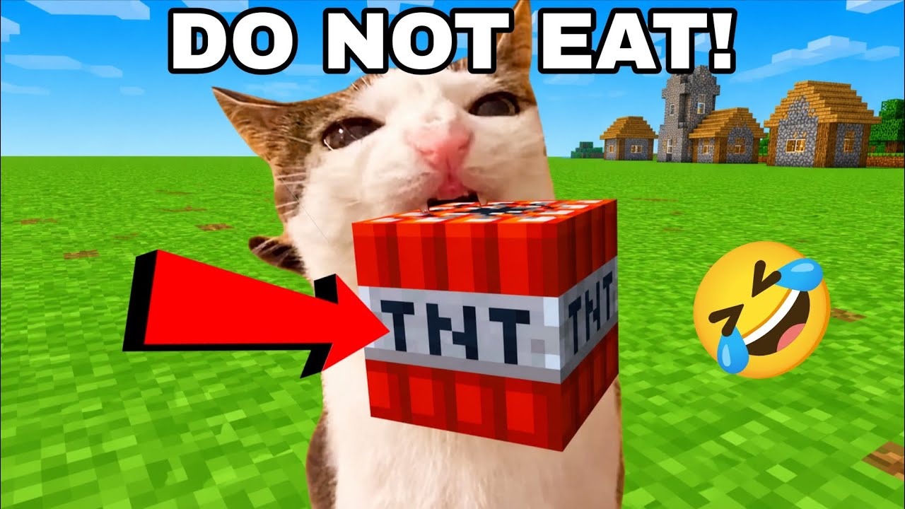Cat in Minecraft Funny moments, compilation and clips